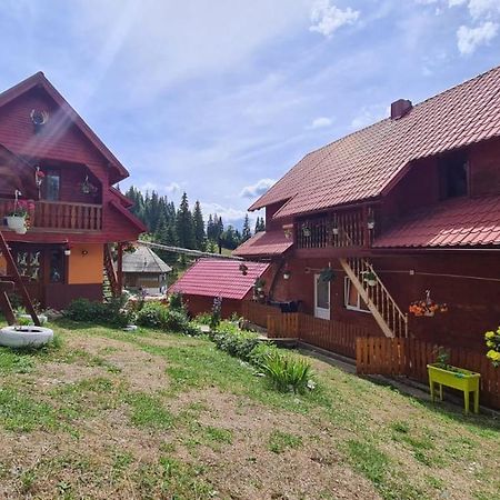 Cabana Cret Ocoale Zewnętrze zdjęcie