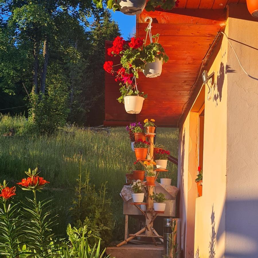 Cabana Cret Ocoale Zewnętrze zdjęcie