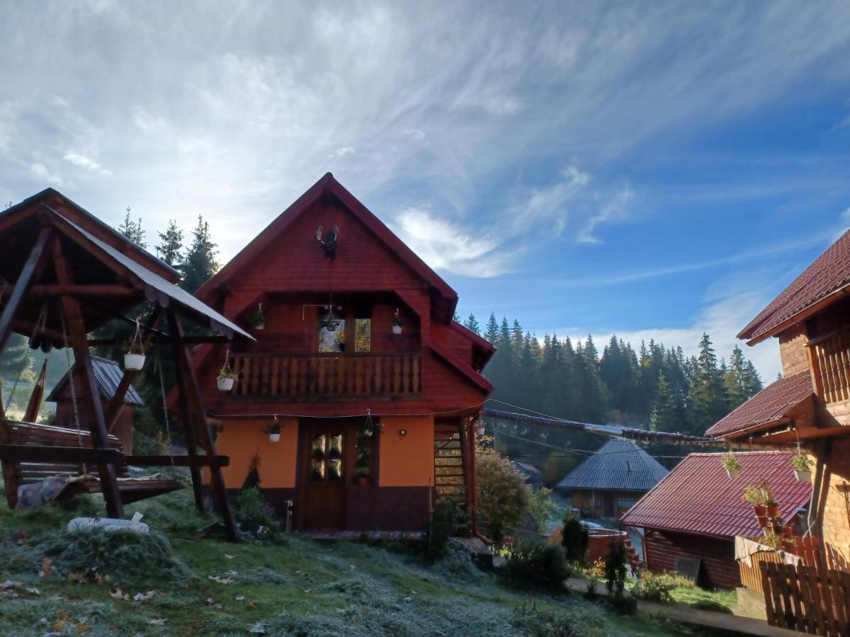 Cabana Cret Ocoale Zewnętrze zdjęcie